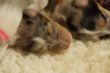 DSC08969.JPG